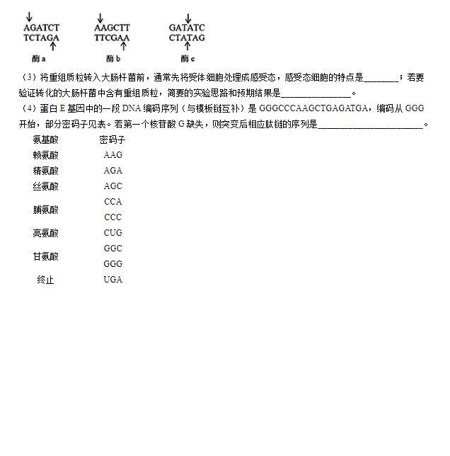 2024年高考生物全国甲卷真题